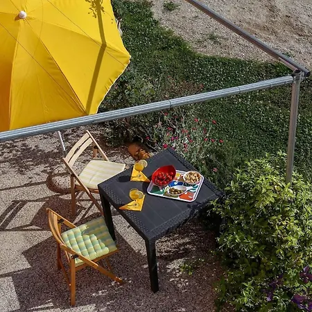 Quindici Alberi Legnaia Serra deʼ Conti