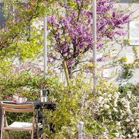 Quindici Alberi Legnaia * Serra deʼ Conti