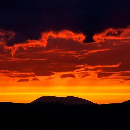 Quindici Alberi Legnaia *