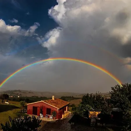 Quindici Alberi Legnaia Serra de' Conti