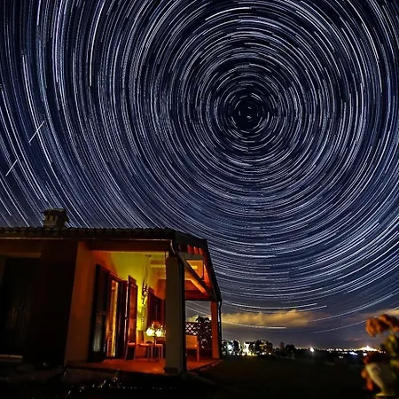 Quindici Alberi Legnaia アパート *