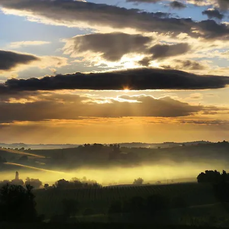 Quindici Alberi Legnaia *