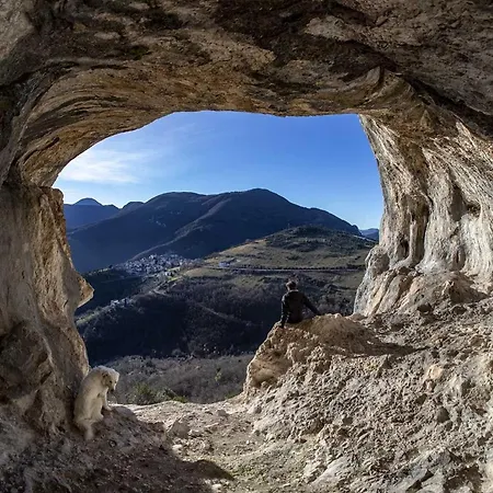 Quindici Alberi Legnaia Serra de' Conti