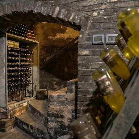 Quindici Alberi Legnaia アパート