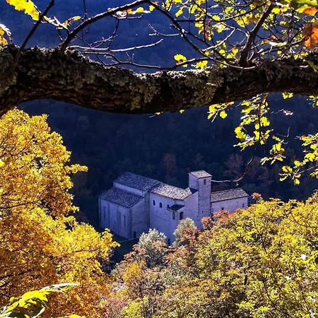 アパート Quindici Alberi Legnaia