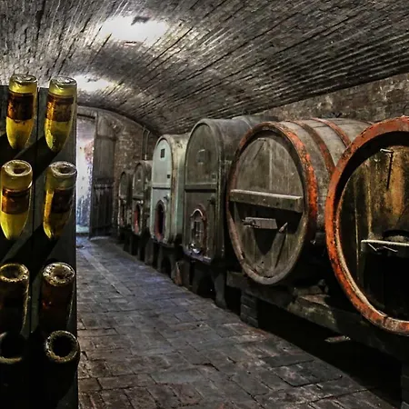 Quindici Alberi Legnaia アパート *