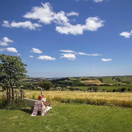 Quindici Alberi Legnaia