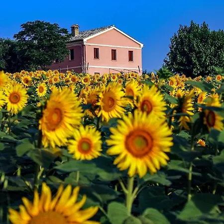 Quindici Alberi Legnaia * Serra deʼ Conti