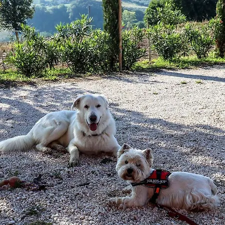 Quindici Alberi Legnaia アパート *