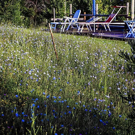 アパート Quindici Alberi Legnaia Serra deʼ Conti